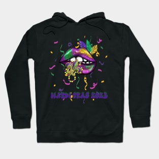 Fleur de lis 2023 Party in Nola Hoodie